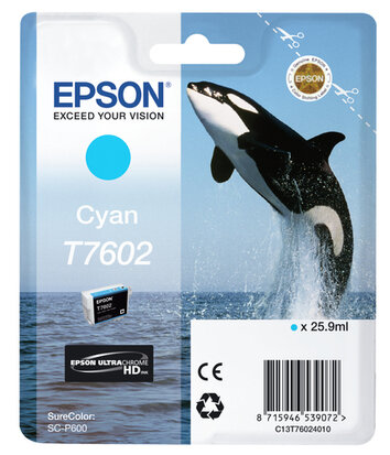 Epson C13T76024010 Encre Cyan