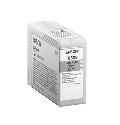 Epson C13T850900 Tinte light light Schwarz