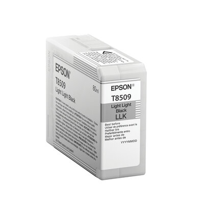 Epson C13T850900 Encre Noire claire claire