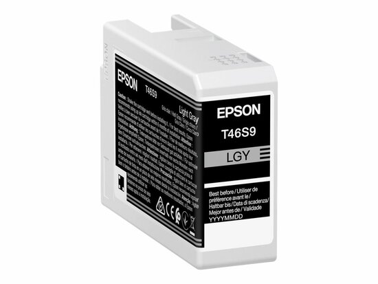 Epson C13T46S900 Encre Grise claire