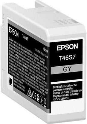 Epson C13T46S700 Tinte Grau